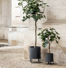 Load image into Gallery viewer, Ferm Living Bau Pot - Dusty Rose - Large
