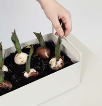Load image into Gallery viewer, Ferm Living Plant Box - Light Grey - Small
